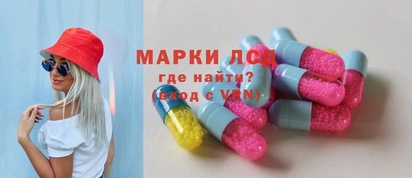 apvp Алзамай