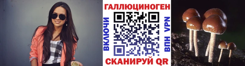 Псилоцибиновые грибы GOLDEN TEACHER  Мытищи 