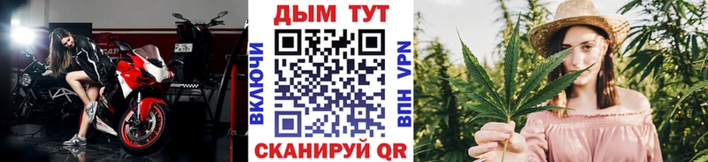 Конопля гибрид  цена   Мытищи 